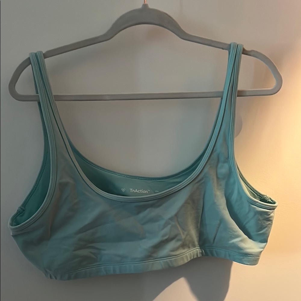 Aritzia TnAction TNALIFE Mini Bra Top in Adriatic Blue, 2XL
